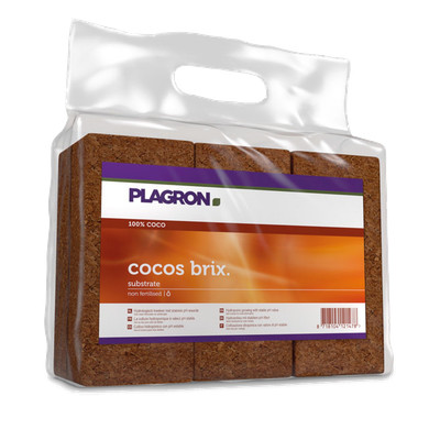 Plagron Cocos Brix 6 Stück