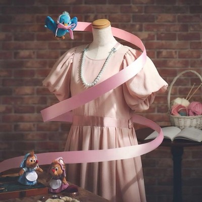 Disney Woman Cinderella 75Th Anniversary Dress Create Your Dream Limited Edition