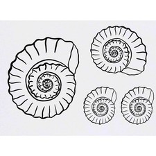 4 x 'Ammonite Fossil' Temporary Tattoos / Transfers TO00015301 