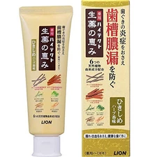 Lion Medicinal Toothpaste For Tightening Gum With Herbal Flavor From Japan #py6