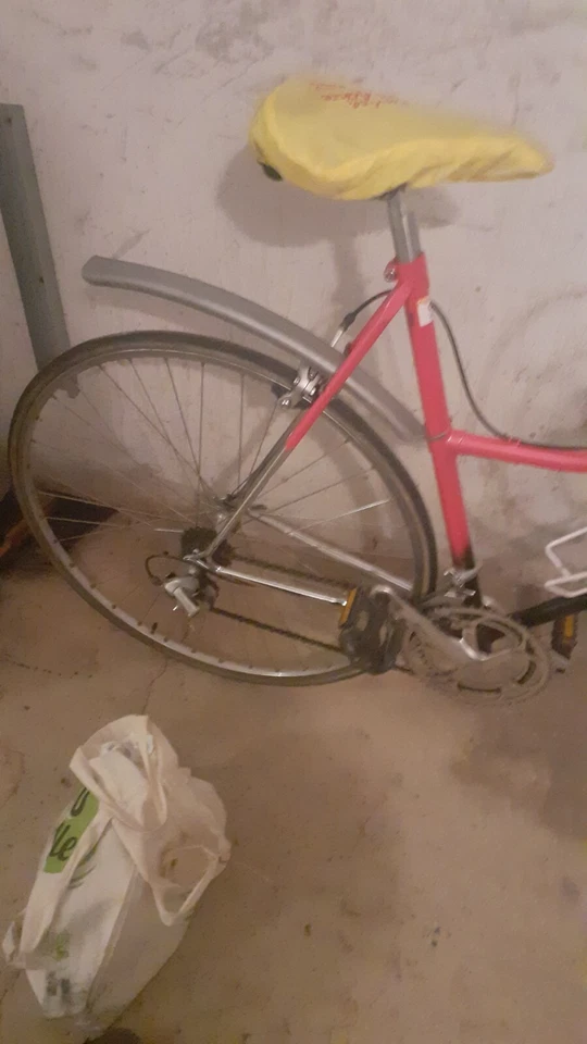 Triathlon Rad - Bild 4 von 4