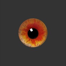  Dollmore 00AK BJD Eyes 12mm Fantasy Flat Round Glass Eyes FF04 