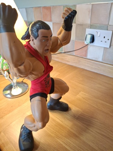 JAKKS WWE RING GIANTS ROB VAN DAM 14" AZIONE POSABILE sciolto 2006 - Foto 22 di 24