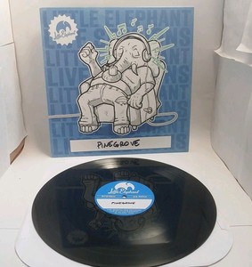 Pinegrove レコード Pinegrove Vinyl | eBay