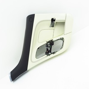 Türverkleidung hinten links Aston Martin Rapide AD43-23905-AB  (228533)