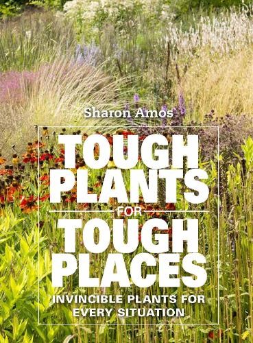 Tough Plants for Tough Places by Sharon Amos - 9781914902017