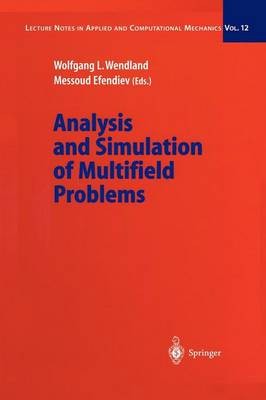 Analyse und Simulation von Mehrfeldproblemen - 9783642056338