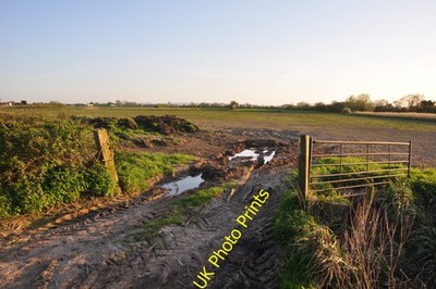 Photo A3 Sedgemoor : Countryside Scenery Andersea A gate providing entra c2014