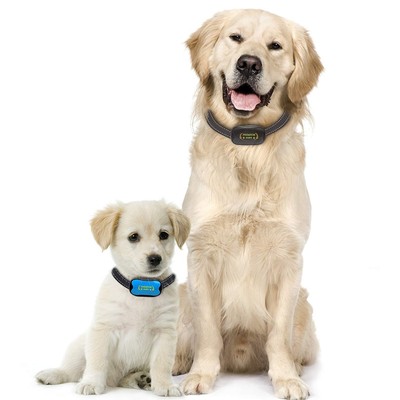 premium paws bark collar