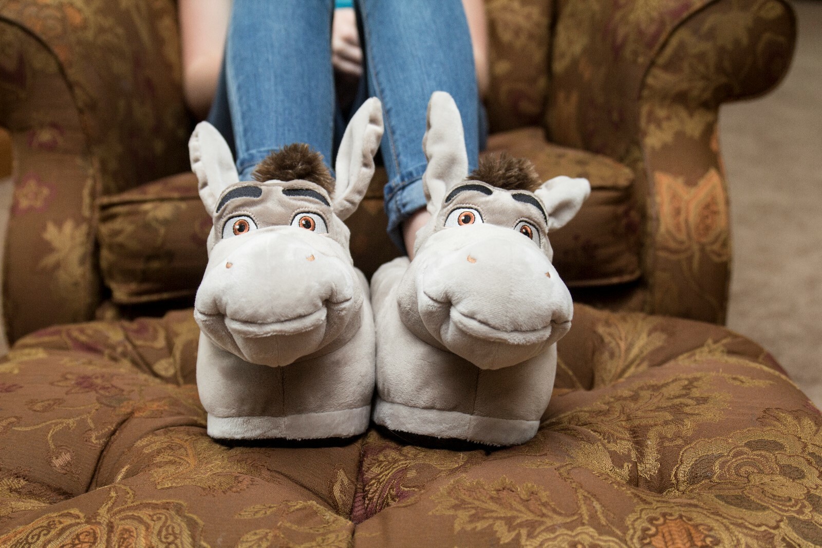 shrek slippers