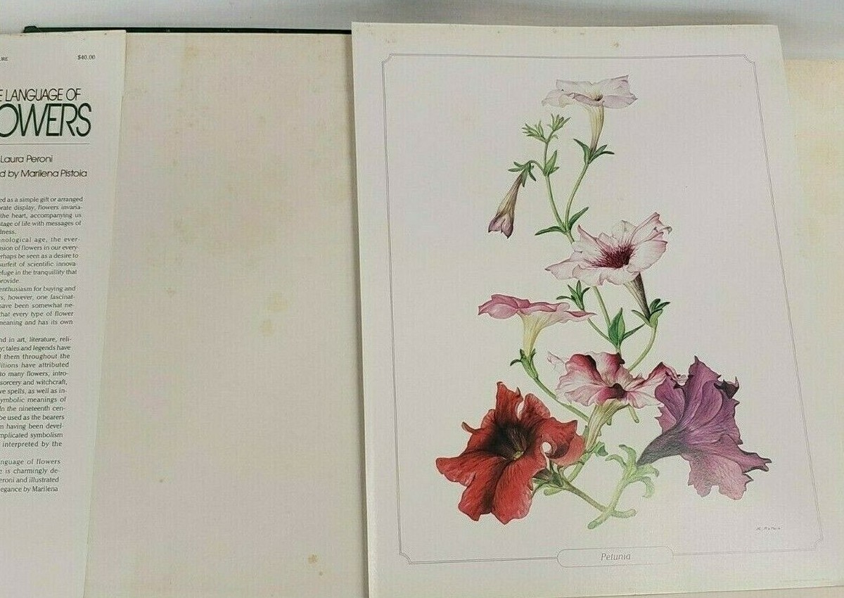 THE LANGUAGE of FLOWERS by LAURA PERONI * 1985 HARDCOVER BOOK with 