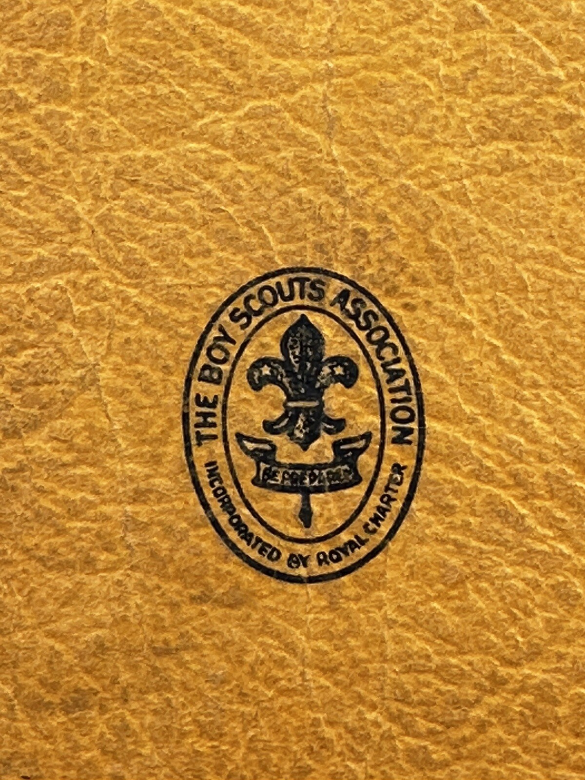 Picture 4