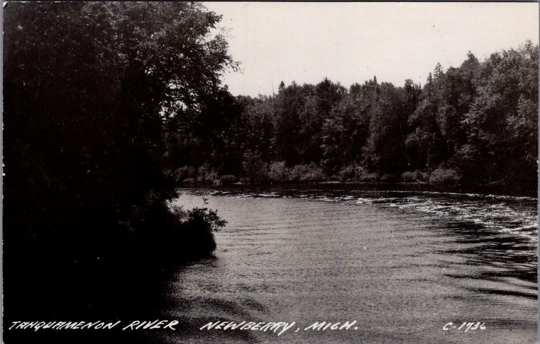 Tanquamenon River, NEWBERRY, Michigan Real Photo Postcard
