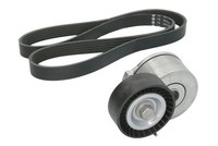 Ina 529010510 Keilrippenriemensatz Mit Rollen FüR C30 C70 Ii S40 I V50 Citroen