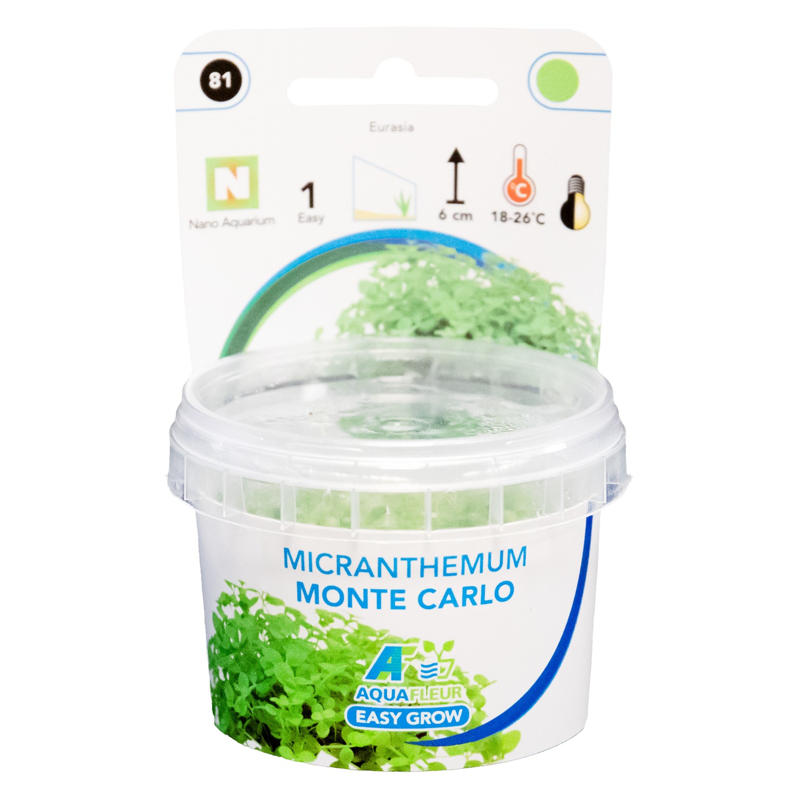 Aquafleur Easy Grow 81 Micranthemum Monte Carlo Aquarium Live Plant Decoration