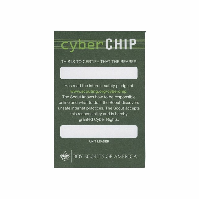 BOY SCOUT 6 CARD SET LOT CYBER CHIP INTERNET POCKET CERTIFICATE SET ...