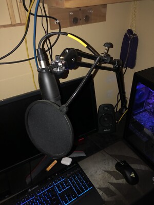 Gaming or podcast mic setup