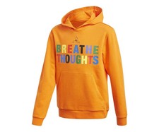 Adidas Originals PW Po Hood Boys Active Hoodies Size S, Color: Orange