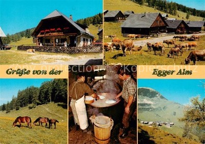 Kirchbach Kaernten Gasthaus zur Alten Kaeserei Egger Alm Cattle Pasture Kaeserei Pano