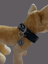 Elegant dog collar, collar for dog, luxury co...