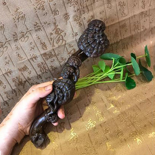 Antique Chinese Agalloch Eaglewood Wood Carved Ganoderma Lucidum Ruyi Scepter