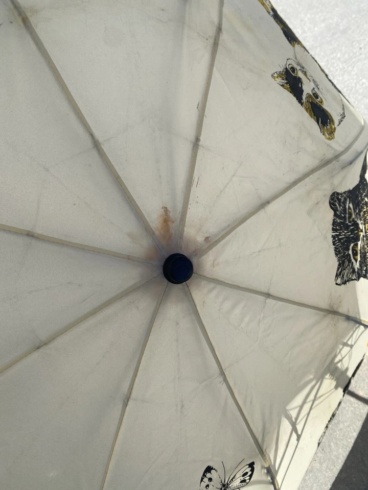 Paraguas de gato increíble 1993 vintage, mango de gato de madera tiene desgaste (ver foto) Foto 3 de 4