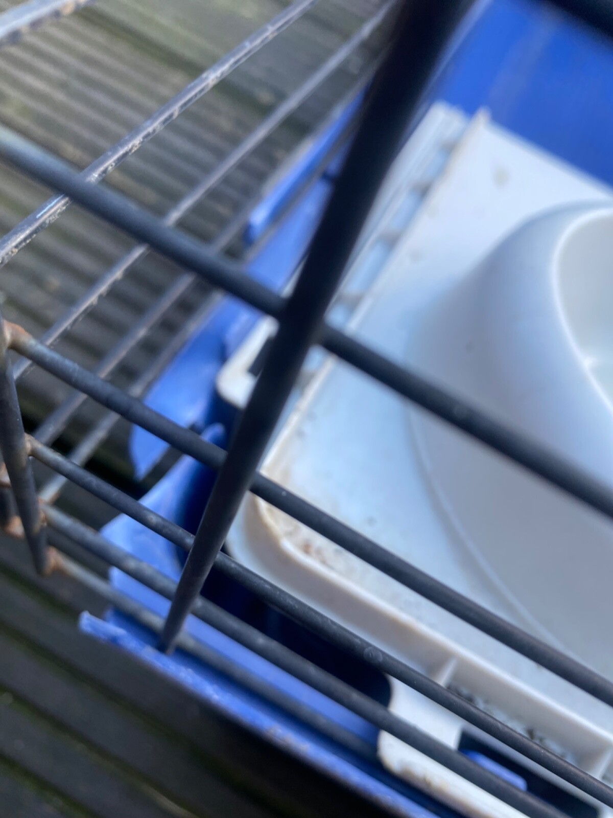 Indoor Rabbit Cage eBay