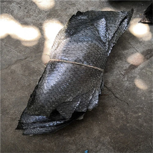 2pcs Real Fish Leather Carp Leather Fabric Soft Carp Fish Skin Leather Pelt Hide - Picture 12 of 25