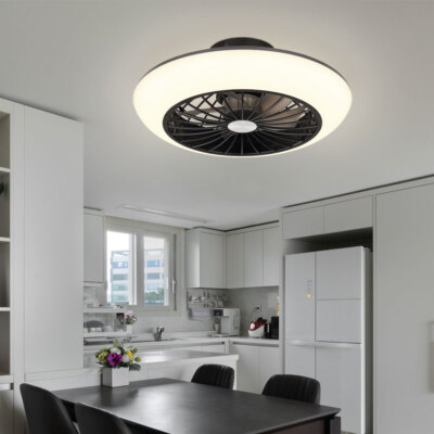 Deckenlampe Ventilator Deckenventilator Leuchte modern Memory schwarz LED 30cm