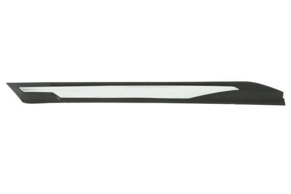 Left Front BLIC 5703-04-5547423P Trim/Protection Strip, wing for PEUGEOT