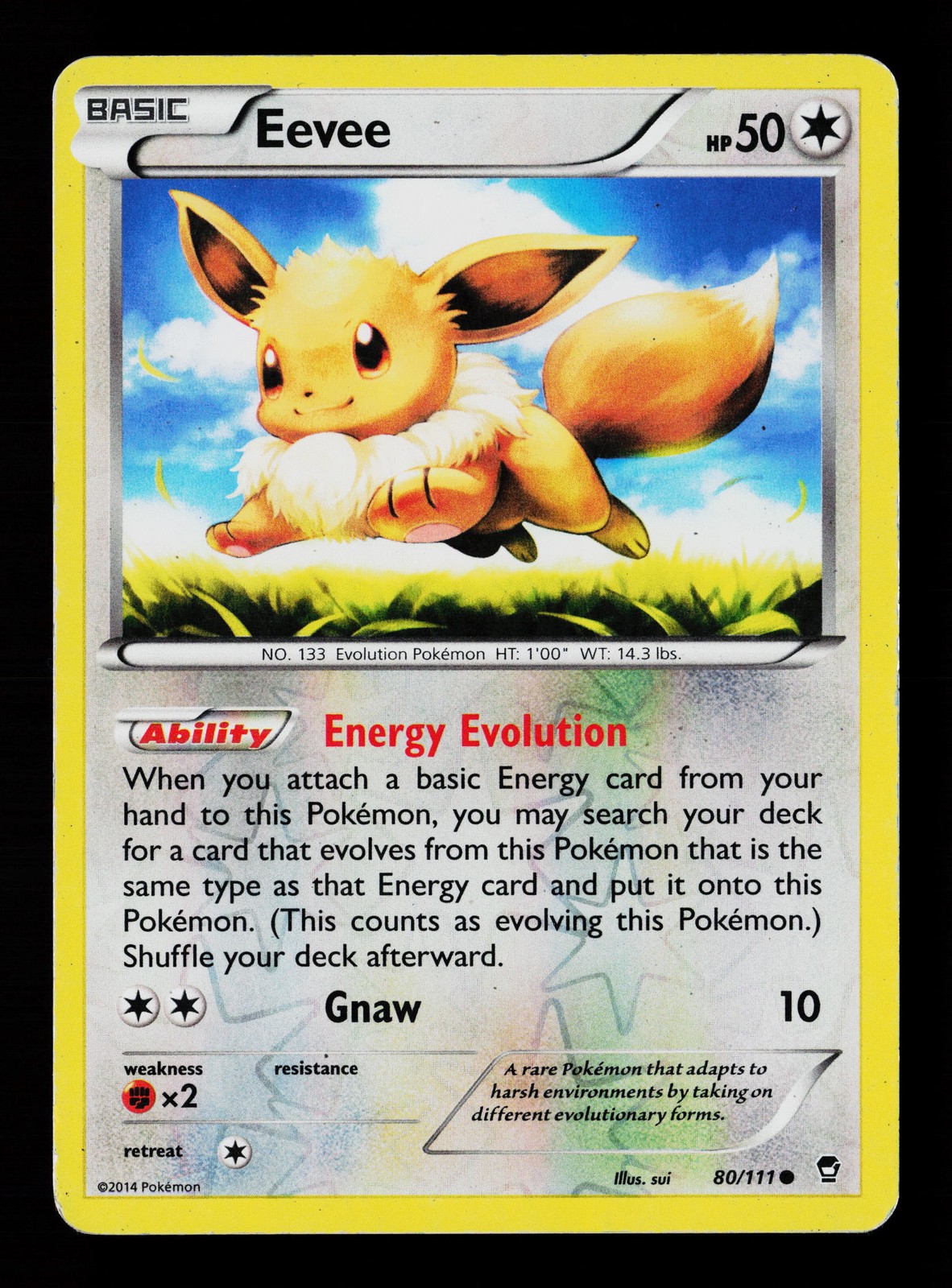 Eevee 80/111 Reverse Holofoil Furious Fists Pokemon Card -B5