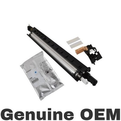 Xerox 607K07280 Developer Unit Assembly - Cyan