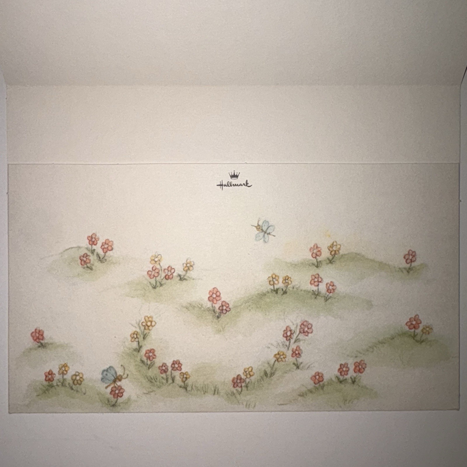 Picture 2 of 3