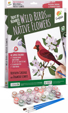 Wild Birds Paint by Numbers Kit for Adults Teens Beginners, DIY Painting Acce...