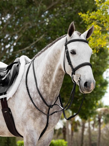 LeMieux Hunter Standing Martingale Soft Padded American Oil Leather Black/Brown - Picture 6 of 6