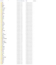 47 CAR MAKERS MAP ECU TUNING FILES / STAG…