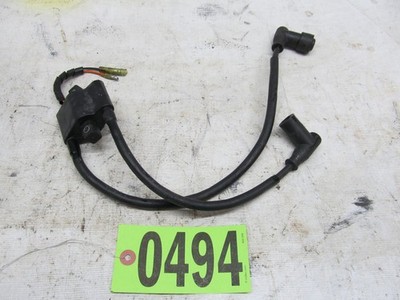 2002 Arctic Cat Mountain Cat 800 Snowmobile MTN Coil