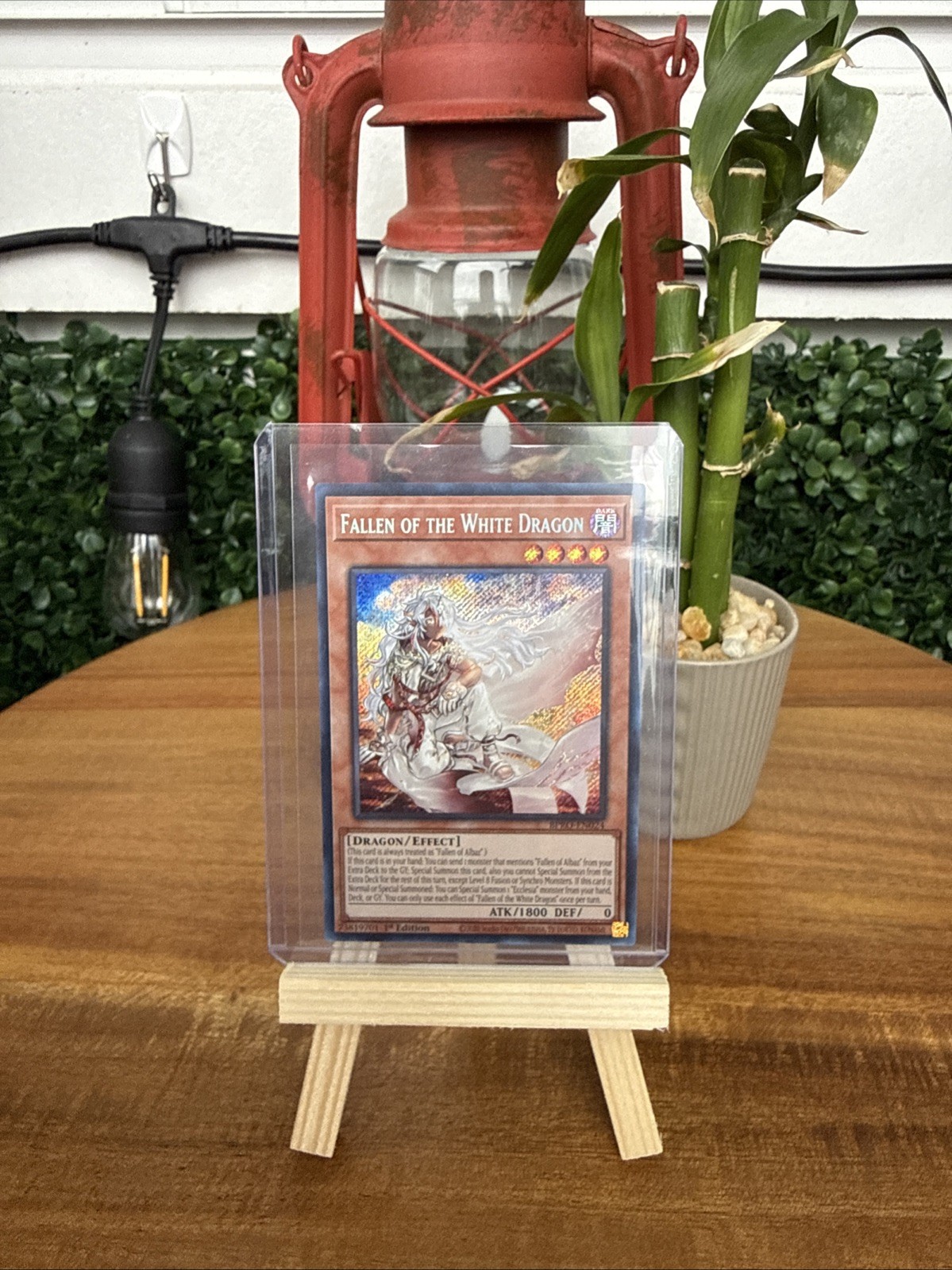 Fallen of the White Dragon BPRO-EN024 Burst Protocol 1st Edition