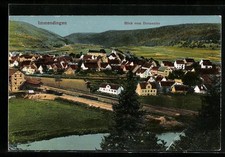 Ansichtskarte Immendingen, Blick vom Donauufer auf die gesamte Stadt 