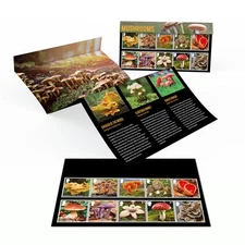 Mushrooms Presentation Pack from Royal Mail