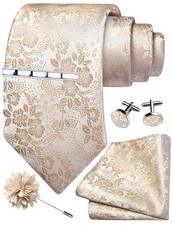 Tie Set for Men Necktie and Pocket Square,Tie Clip,Cufflinks, Lapel Champagne