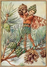 The Pine Tree Fairy – Cicely Mary Barker – 1918 Vintage Botanical Elf Art