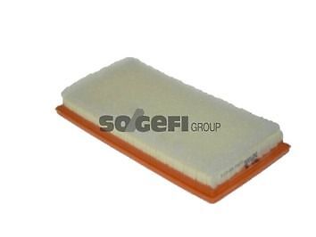 PURFLUX Filtro aria  A1540