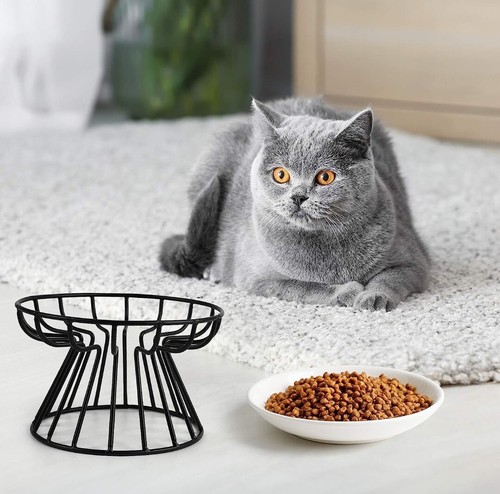 Elevated Cat Plate Shallow Ceramic Cat Dish Raised Stand Anti-Vomit Whisker Frie - Picture 6 of 7