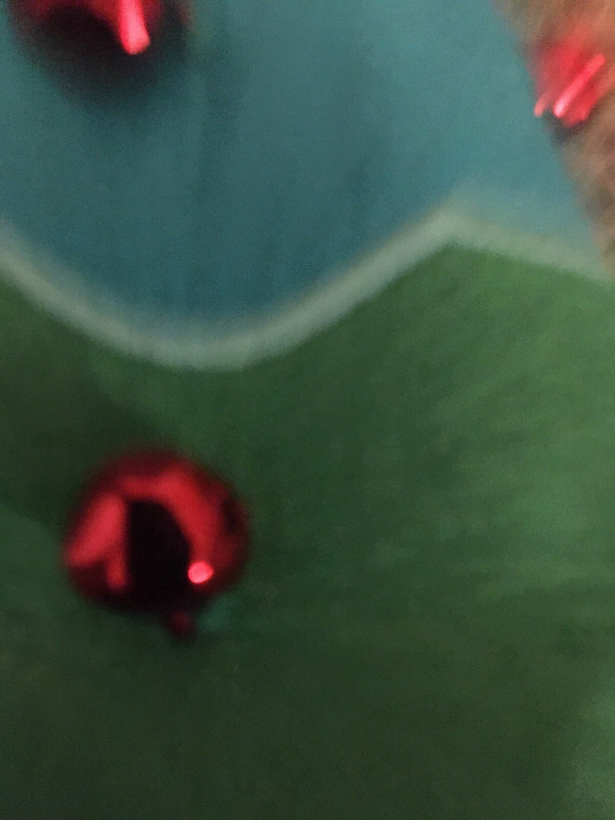 Picture 4 of 8