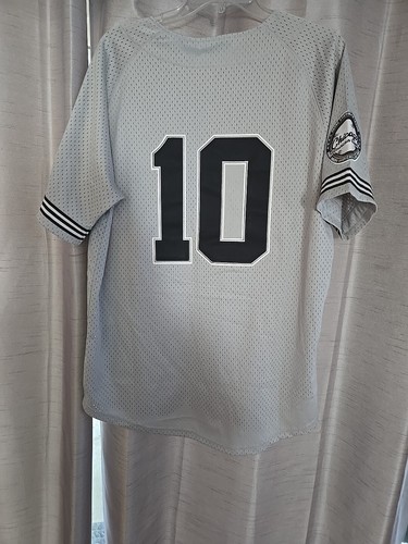 Chicago Batting Jersey/ Chicago American Giants - Picture 9 of 9
