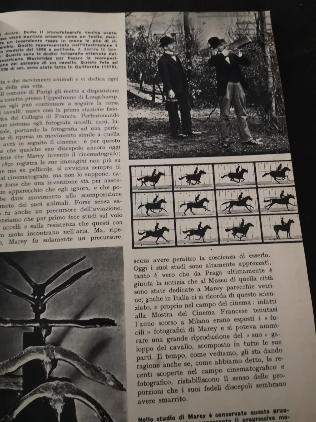 Imagen 6 de 7
