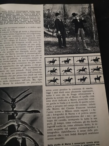 COLLEZIONISMO CARTACEO - Imagen 6 de 7