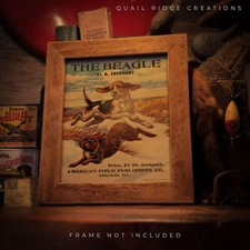 Vintage Beagle Dogs Rabbit Hunting Art Print 8X10 Breeder Kennel Cabin Decor