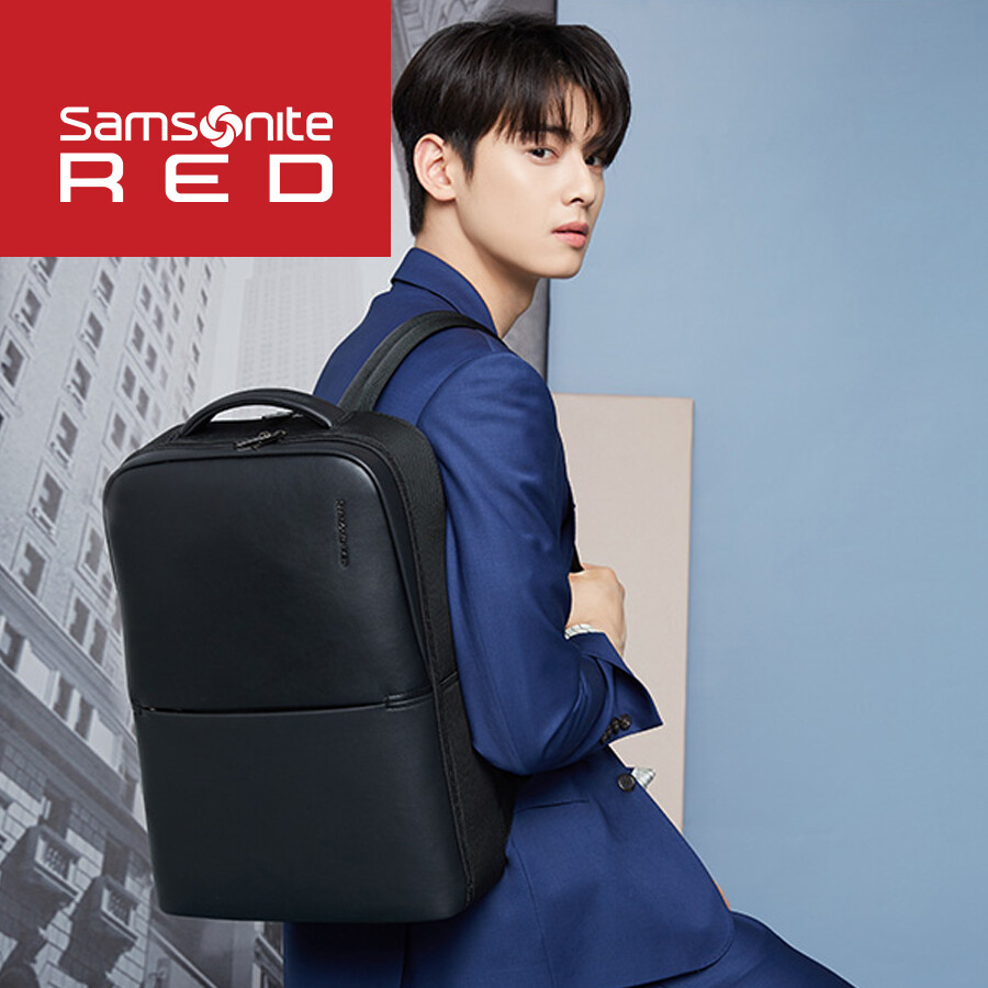 samsonite neumont